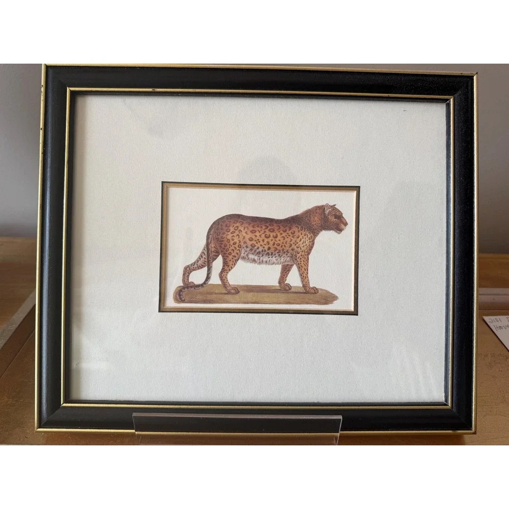 Vintage Black and Gold Animal Leopard Print Framed 12 x 10